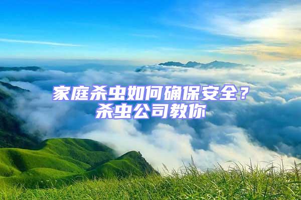 家庭杀虫如何确保安全？杀虫公司教你