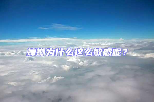 蟑螂为什么这么敏感呢？