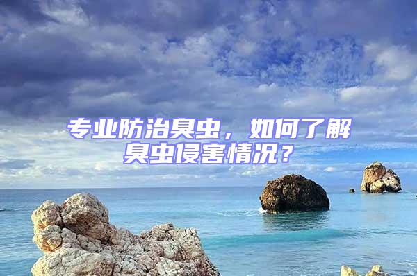 专业防治臭虫，如何了解臭虫侵害情况？