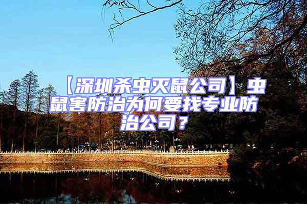 【深圳杀虫灭鼠公司】虫鼠害防治为何要找专业防治公司？