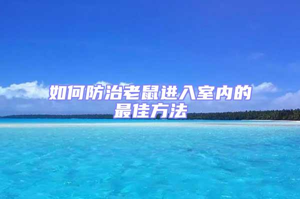 如何防治老鼠进入室内的最佳方法