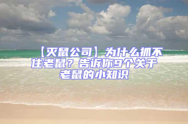 【灭鼠公司】为什么抓不住老鼠？告诉你9个关于老鼠的小知识