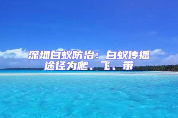 深圳白蚁防治：白蚁传播途径为爬、飞、带