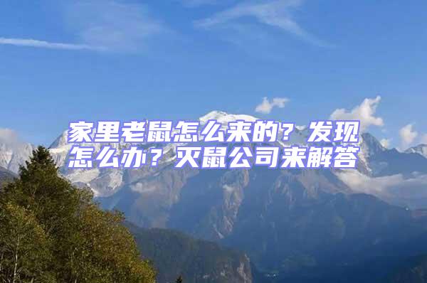 家里老鼠怎么来的？发现怎么办？灭鼠公司来解答