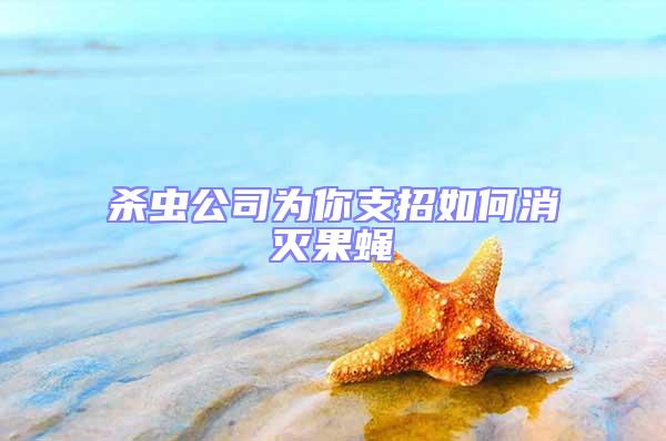 杀虫公司为你支招如何消灭果蝇