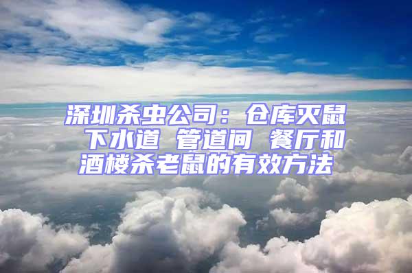 深圳杀虫公司：仓库灭鼠 下水道 管道间 餐厅和酒楼杀老鼠的有效方法