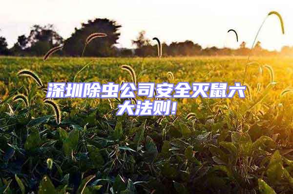 深圳除虫公司安全灭鼠六大法则!