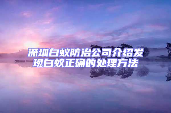 深圳白蚁防治公司介绍发现白蚁正确的处理方法