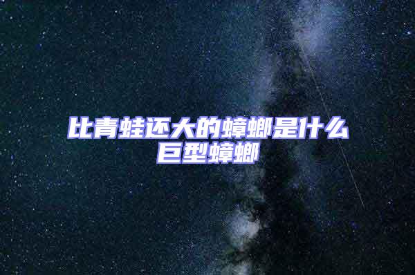 比青蛙还大的蟑螂是什么巨型蟑螂