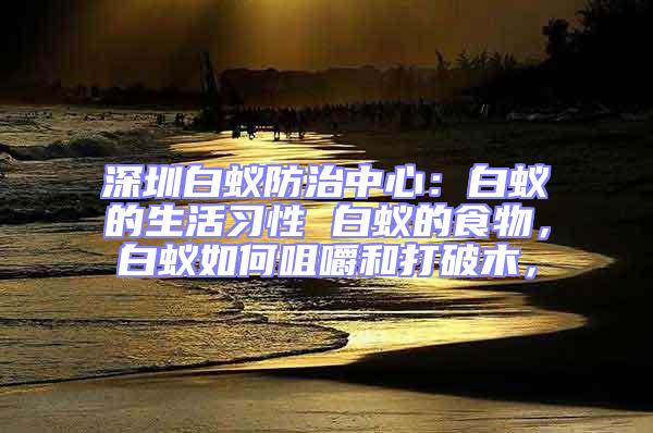 深圳白蚁防治中心：白蚁的生活习性 白蚁的食物，白蚁如何咀嚼和打破木，