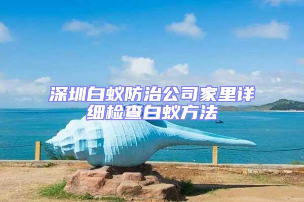 深圳白蚁防治公司家里详细检查白蚁方法