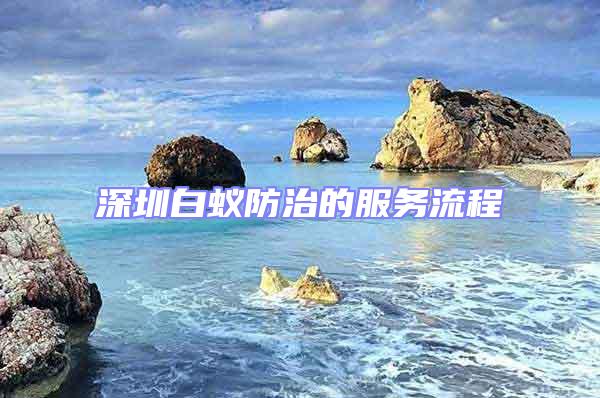 深圳白蚁防治的服务流程