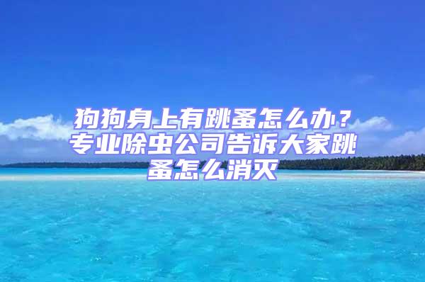 狗狗身上有跳蚤怎么办？专业除虫公司告诉大家跳蚤怎么消灭