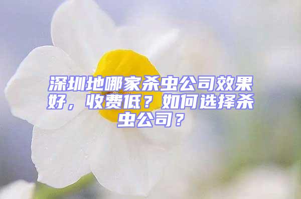 深圳地哪家杀虫公司效果好，收费低？如何选择杀虫公司？