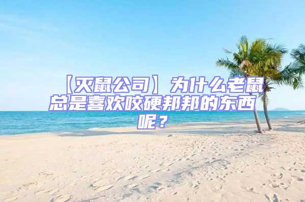 【灭鼠公司】为什么老鼠总是喜欢咬硬邦邦的东西呢？