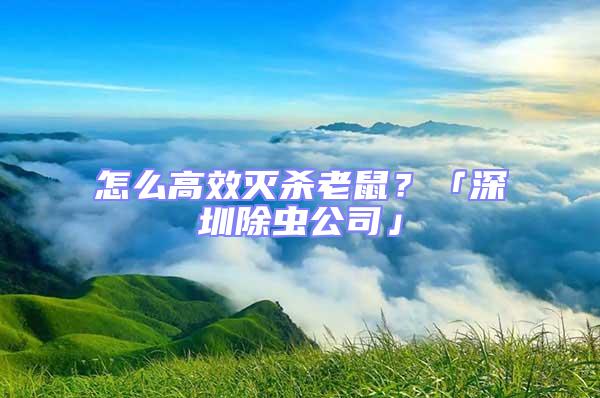 怎么高效灭杀老鼠？「深圳除虫公司」