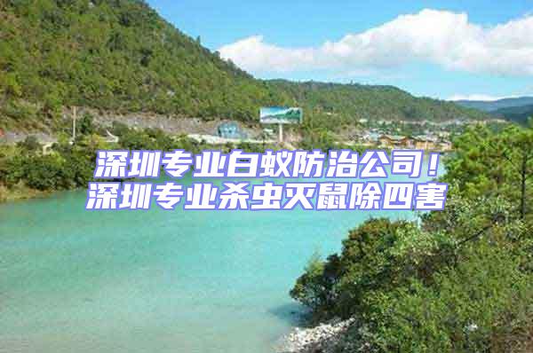 深圳专业白蚁防治公司！深圳专业杀虫灭鼠除四害