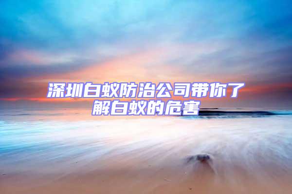 深圳白蚁防治公司带你了解白蚁的危害