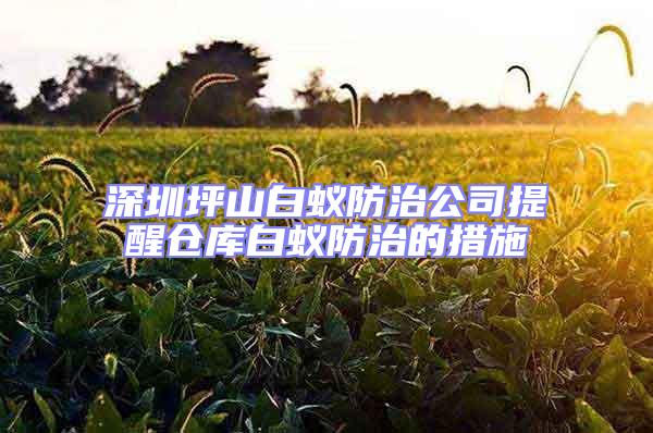 深圳坪山白蚁防治公司提醒仓库白蚁防治的措施