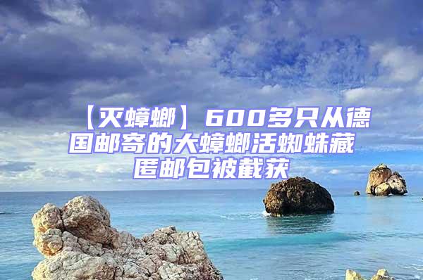 【灭蟑螂】600多只从德国邮寄的大蟑螂活蜘蛛藏匿邮包被截获