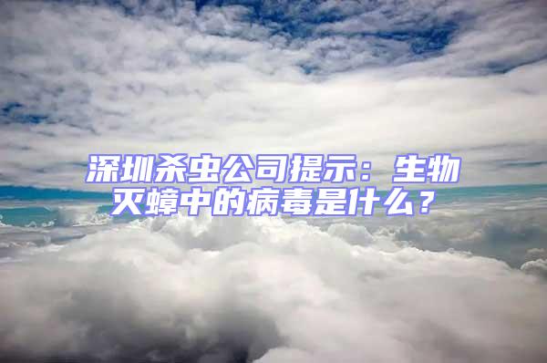 深圳杀虫公司提示：生物灭蟑中的病毒是什么？