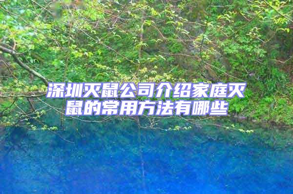 深圳灭鼠公司介绍家庭灭鼠的常用方法有哪些