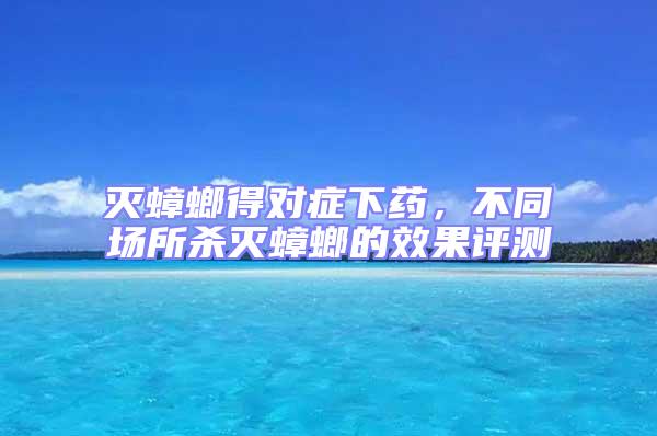 灭蟑螂得对症下药，不同场所杀灭蟑螂的效果评测