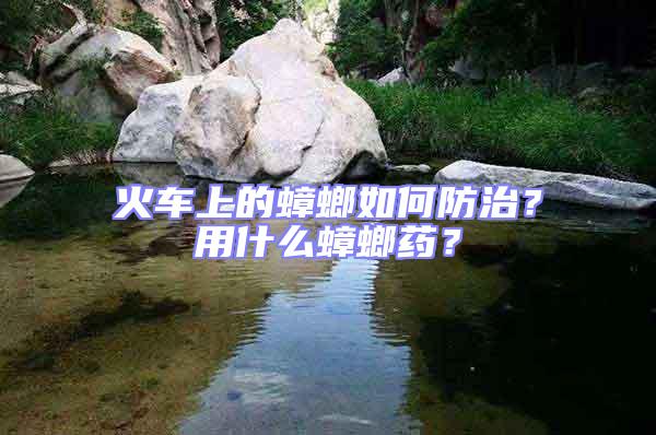 火车上的蟑螂如何防治？用什么蟑螂药？