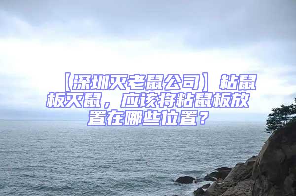 【深圳灭老鼠公司】粘鼠板灭鼠，应该将粘鼠板放置在哪些位置？