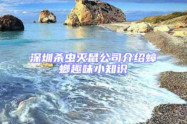 深圳杀虫灭鼠公司介绍蟑螂趣味小知识