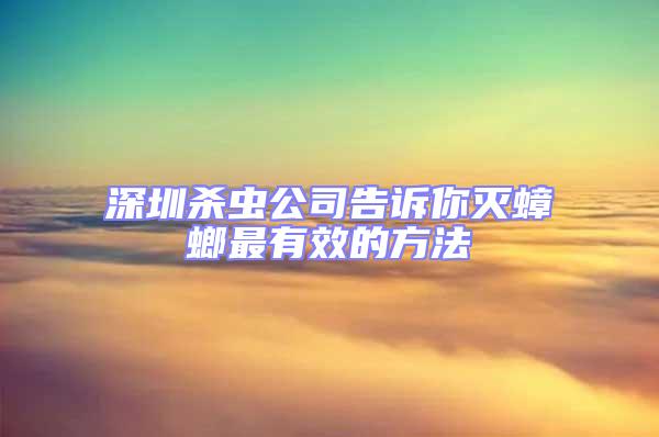 深圳杀虫公司告诉你灭蟑螂最有效的方法