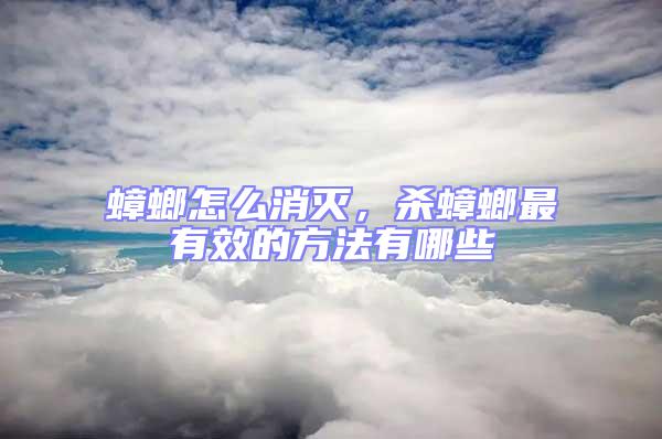 蟑螂怎么消灭，杀蟑螂最有效的方法有哪些