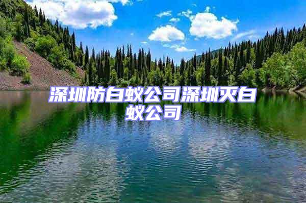 深圳防白蚁公司深圳灭白蚁公司