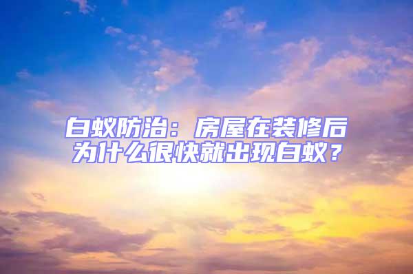 白蚁防治：房屋在装修后为什么很快就出现白蚁？