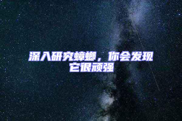 深入研究蟑螂，你会发现它很顽强