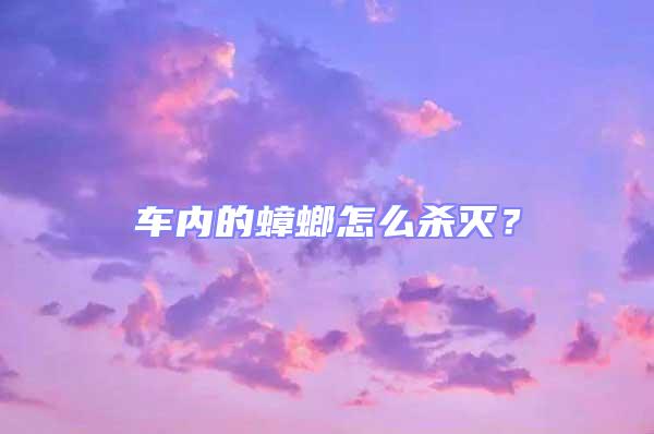 车内的蟑螂怎么杀灭？