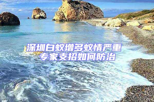 深圳白蚁增多蚁情严重 专家支招如何防治