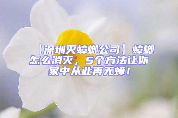 【深圳灭蟑螂公司】蟑螂怎么消灭，5个方法让你家中从此再无蟑！