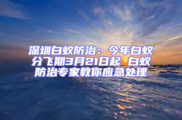 深圳白蚁防治：今年白蚁分飞期3月21日起 白蚁防治专家教你应急处理