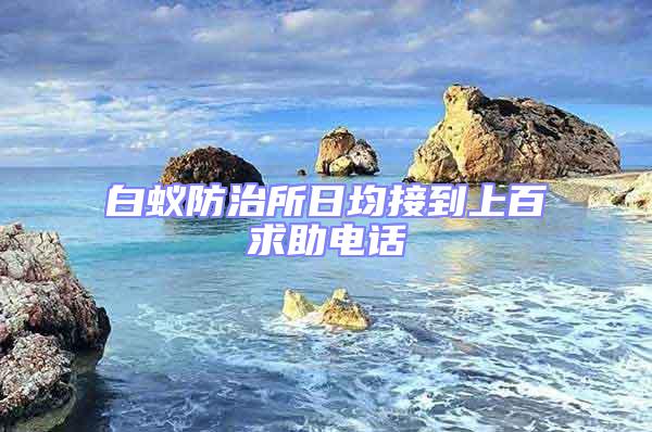 白蚁防治所日均接到上百求助电话