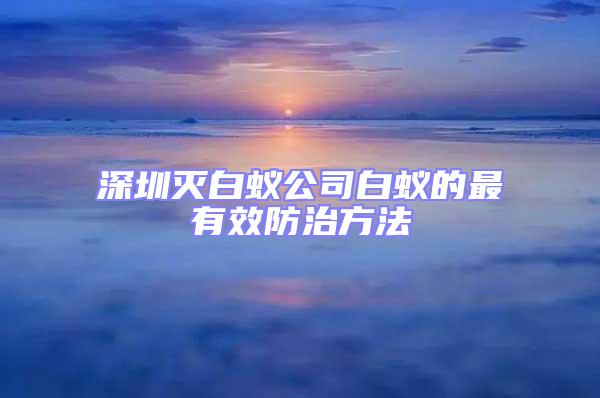 深圳灭白蚁公司白蚁的最有效防治方法