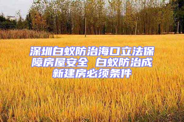 深圳白蚁防治海口立法保障房屋安全 白蚁防治成新建房必须条件