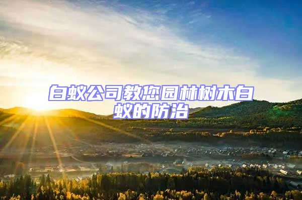 白蚁公司教您园林树木白蚁的防治