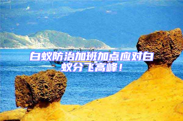 白蚁防治加班加点应对白蚁分飞高峰！