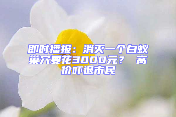 即时播报：消灭一个白蚁巢穴要花3000元？ 高价吓退市民