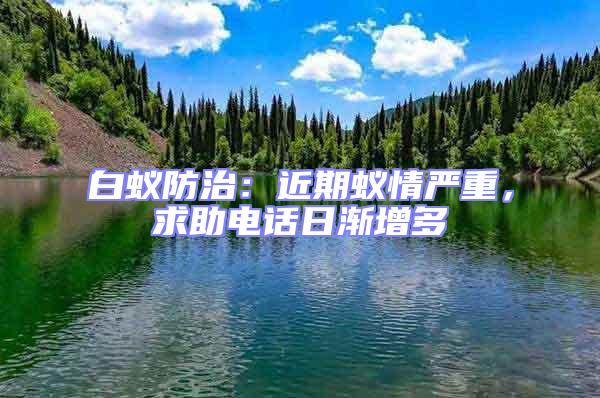 白蚁防治：近期蚁情严重，求助电话日渐增多