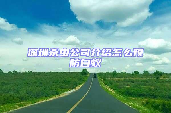 深圳杀虫公司介绍怎么预防白蚁