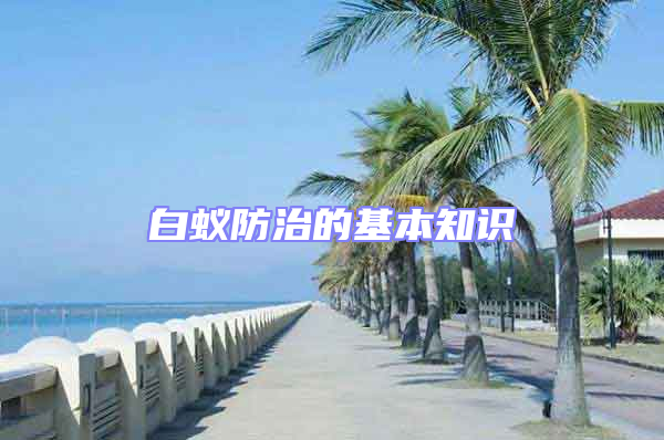 白蚁防治的基本知识