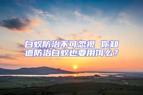 白蚁防治不可忽视 你知道防治白蚁也要用饵么？