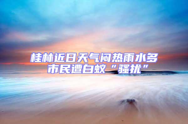 桂林近日天气闷热雨水多 市民遭白蚁“骚扰”